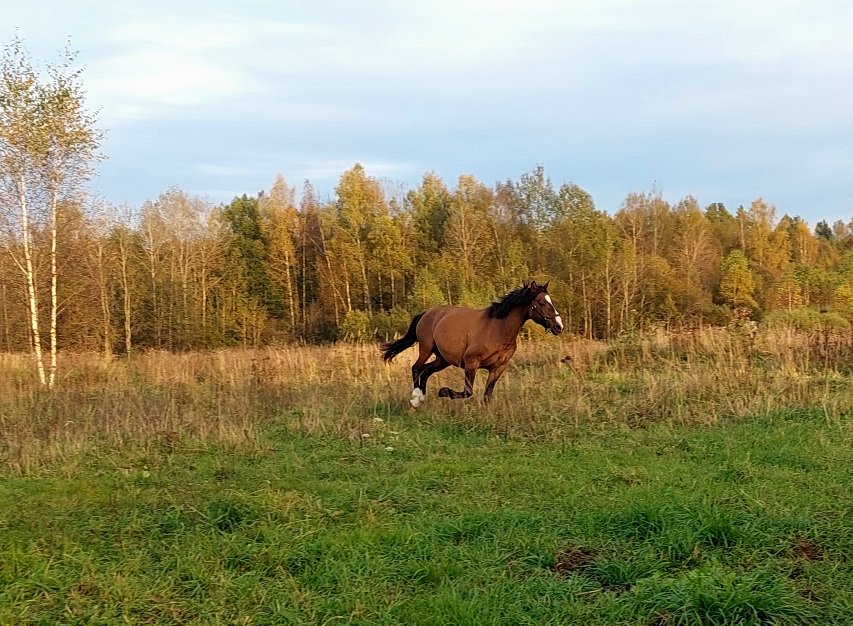 20251002_171340.jpg