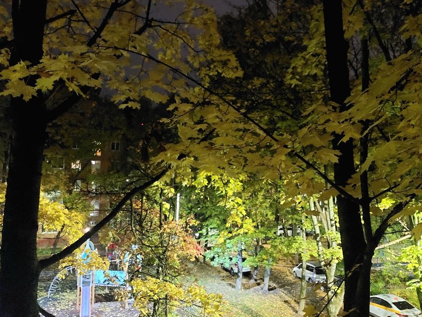 20251005_053732.jpg