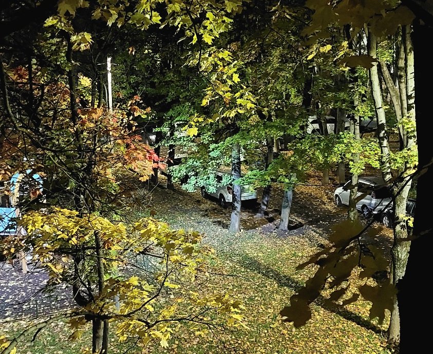 20251005_054008.jpg