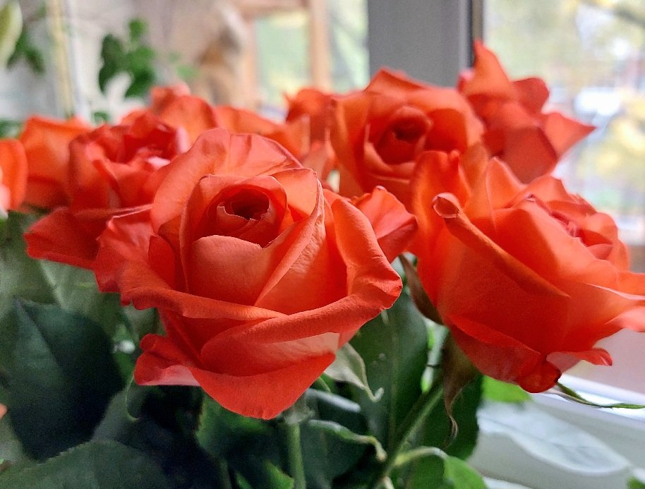 20251005_081205.jpg