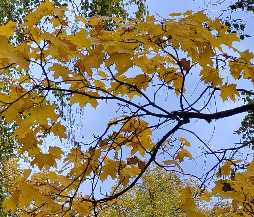 20251005_081232.jpg