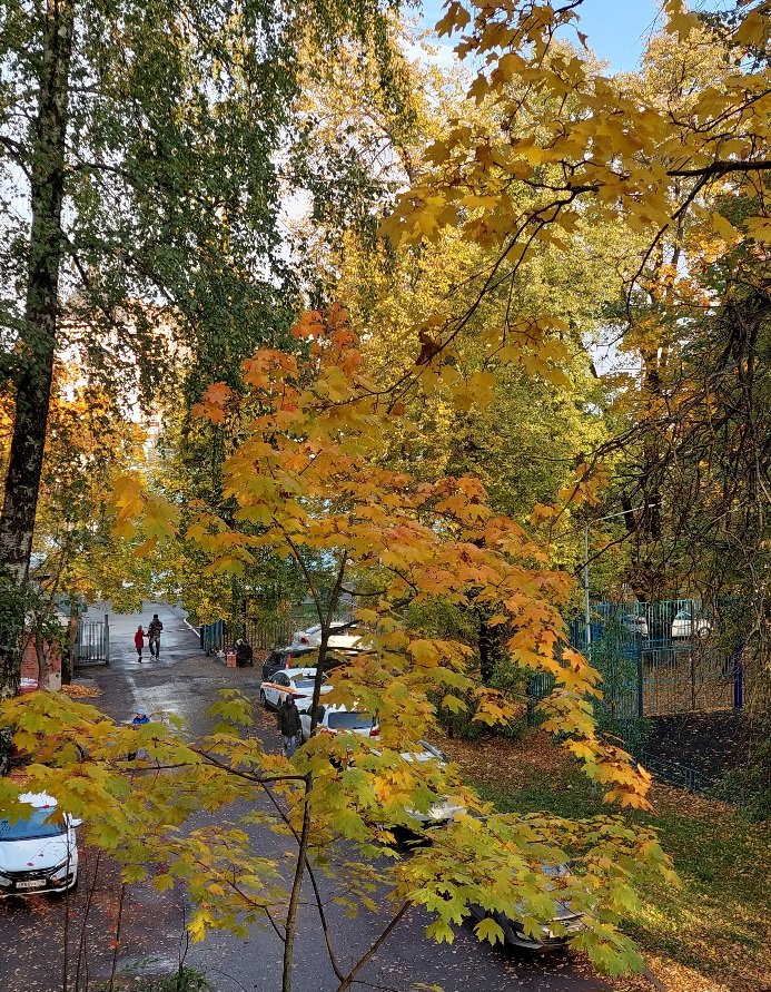 20251005_084927.jpg