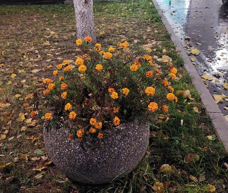 20251005_182227.jpg
