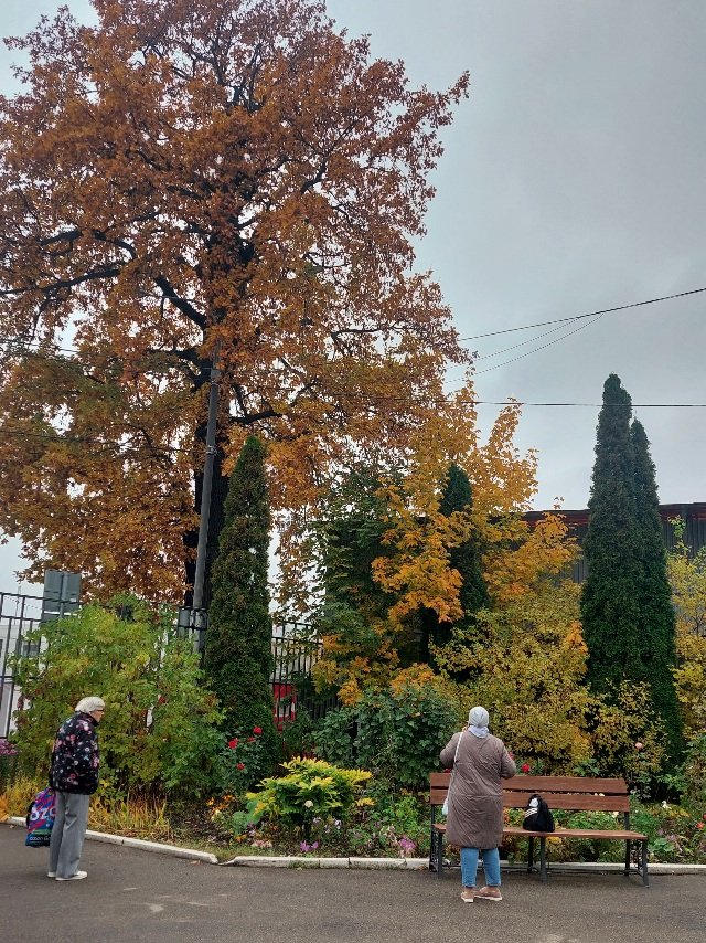 20251008_105641.jpg
