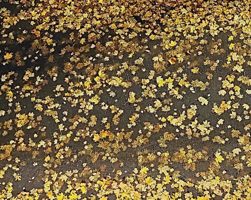 20251009_055807.jpg