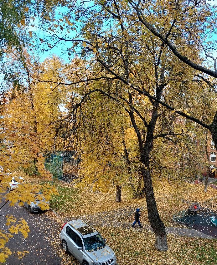 20251009_161359.jpg