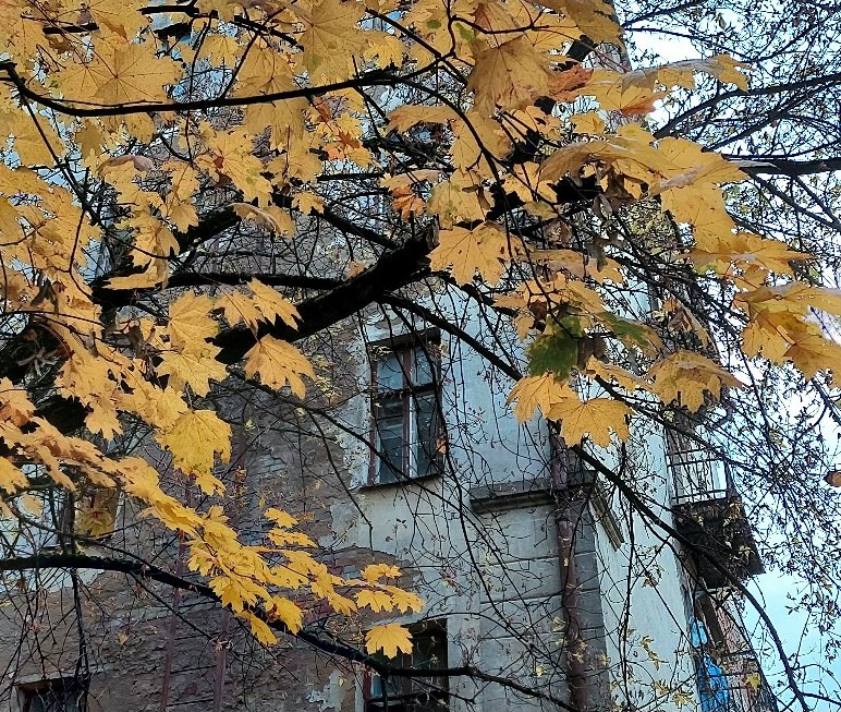 20251009_170705.jpg