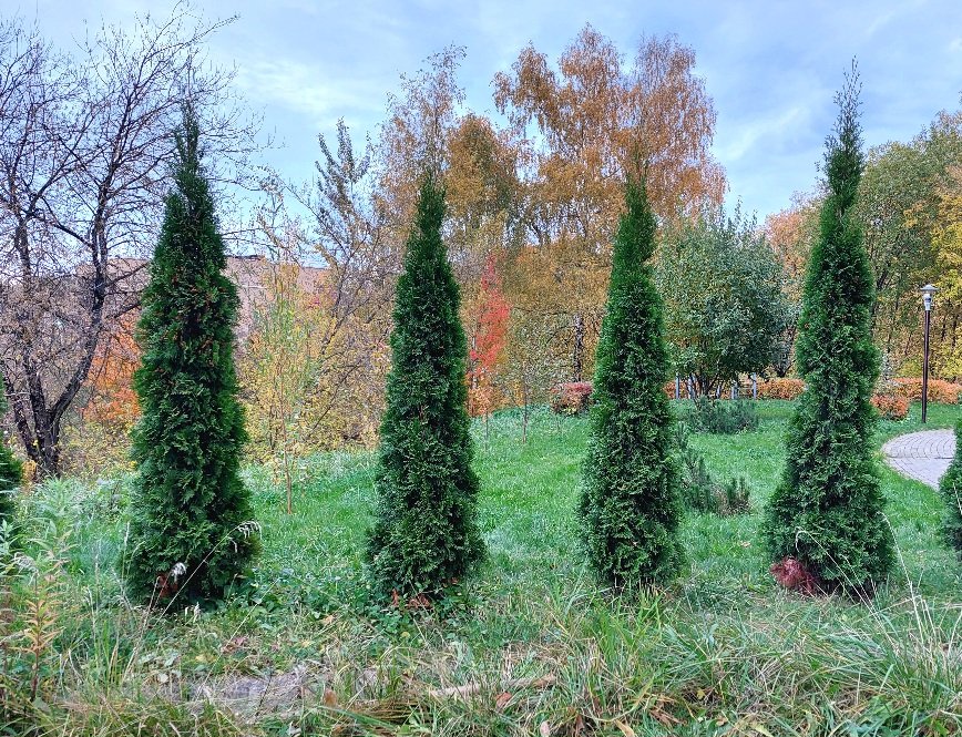 20251009_171632.jpg