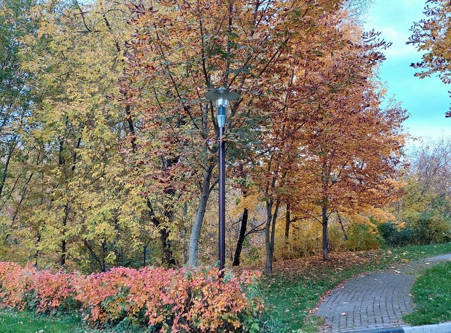 20251009_171713.jpg