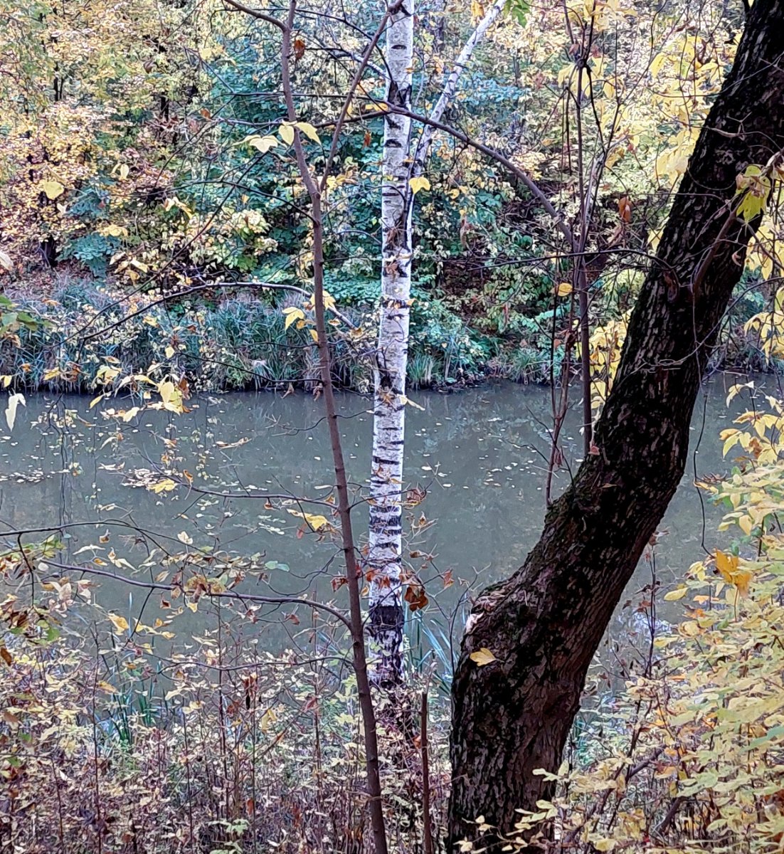 20251009_171746.jpg