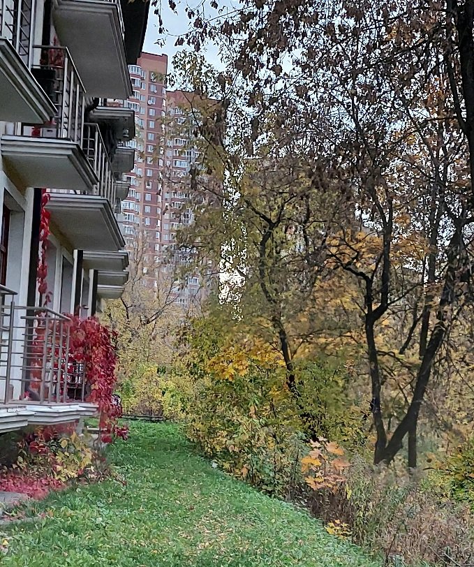 20251009_172027.jpg