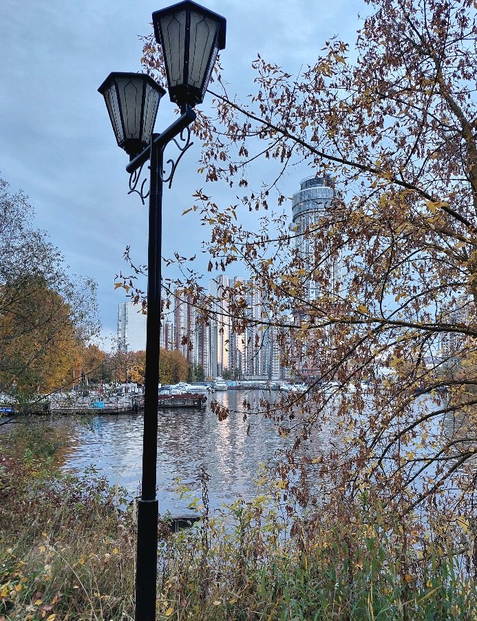20251009_172714.jpg
