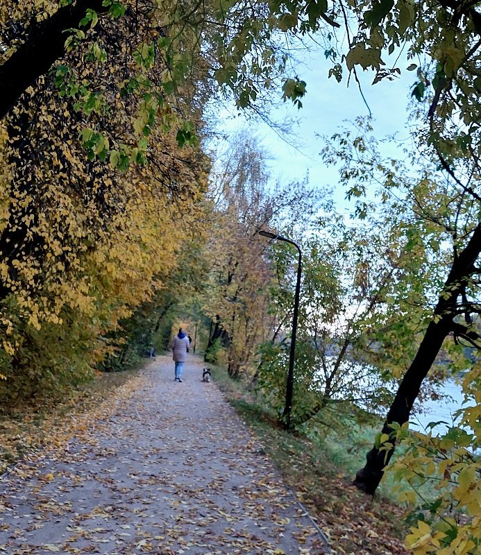 20251009_172824.jpg