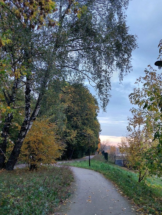 20251009_173234.jpg