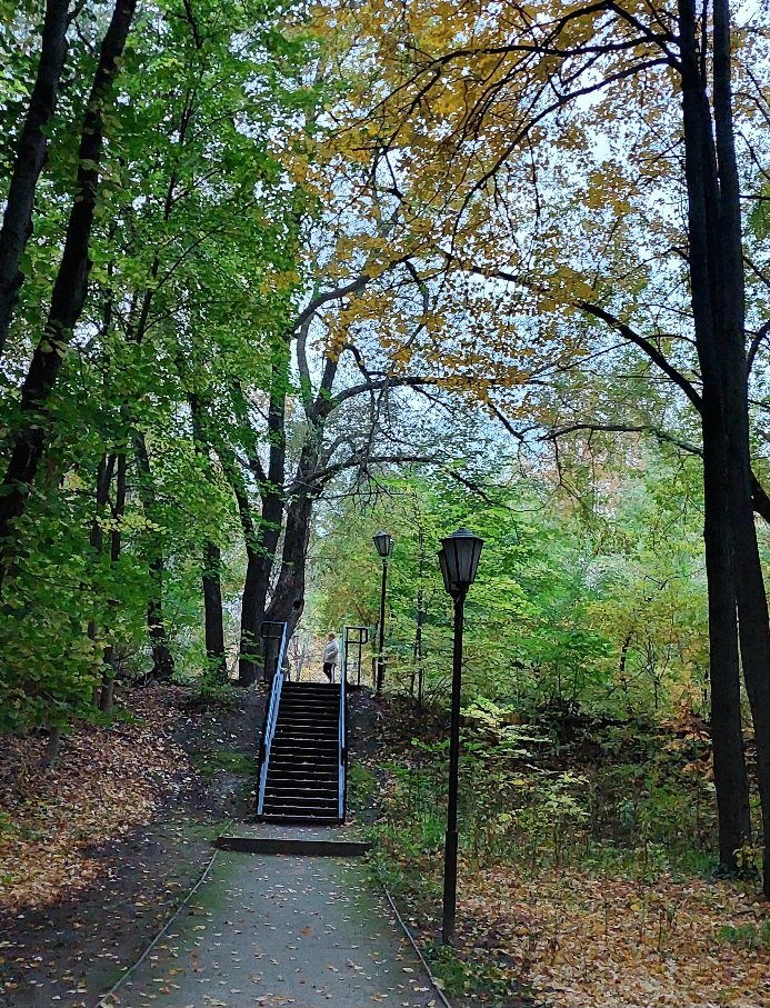 20251009_173633.jpg