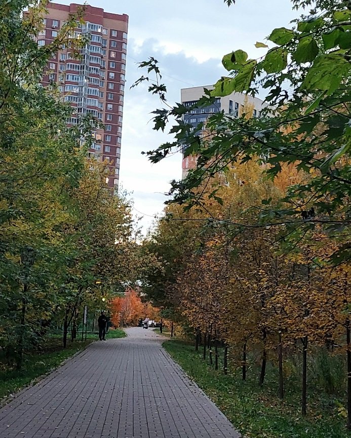20251009_173744.jpg