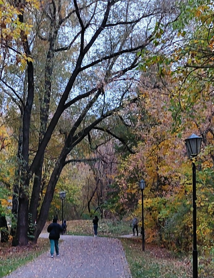 20251009_173920.jpg