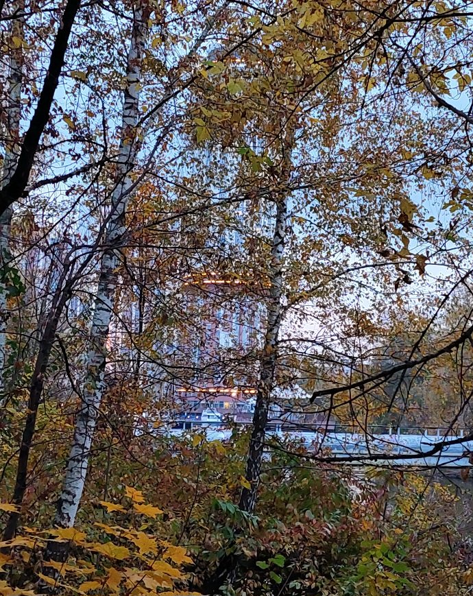 20251009_174000.jpg