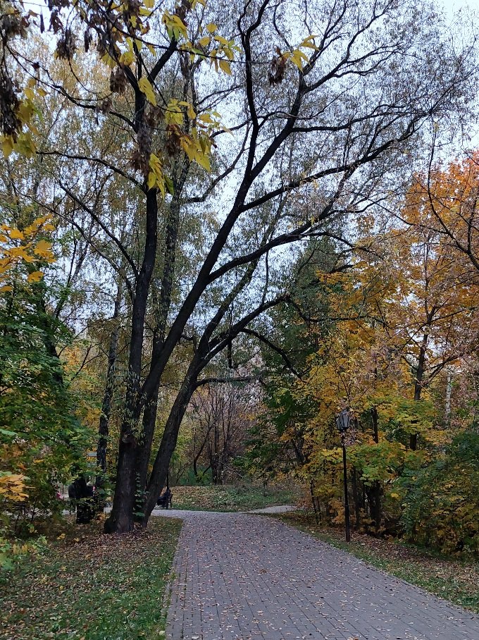 20251009_174050.jpg