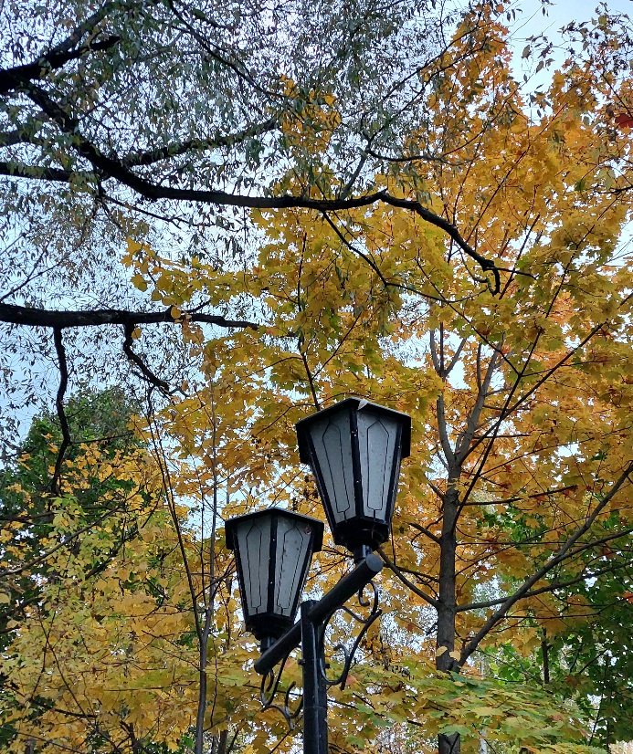20251009_174120.jpg