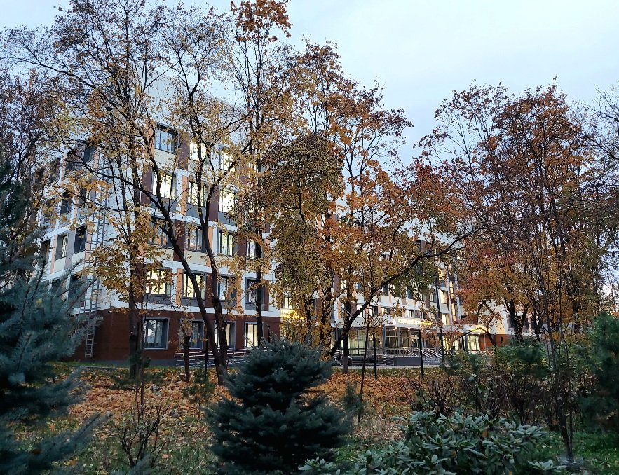 20251009_174646.jpg