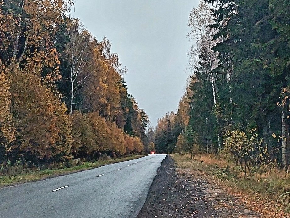 20251012_064305.jpg