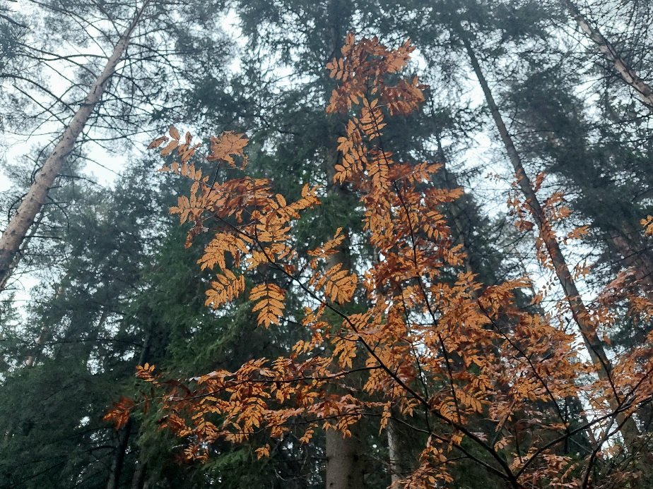 20251012_065255.jpg