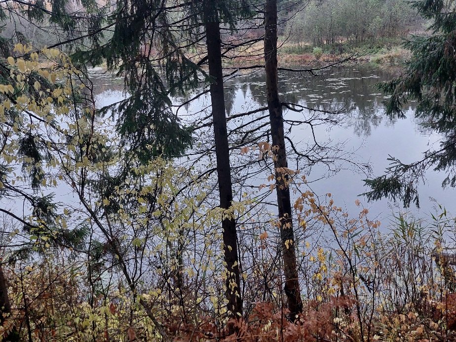 20251012_065639.jpg