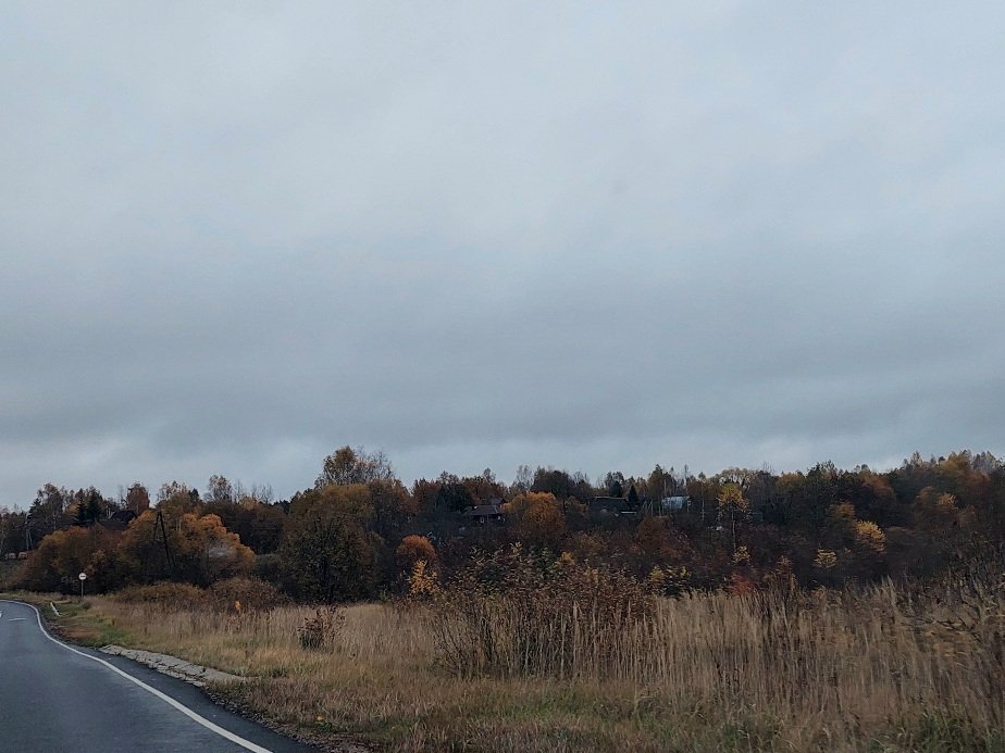 20251012_071819.jpg