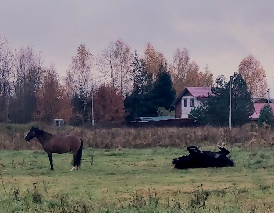 20251014_170313.jpg