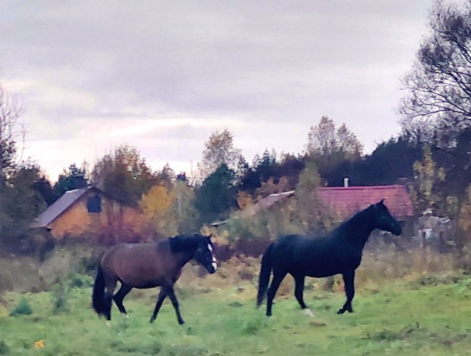 20251014_170510.jpg