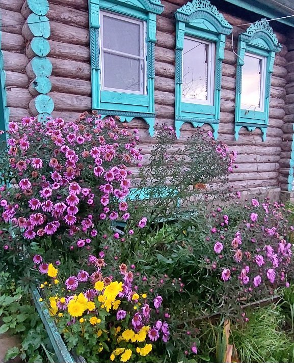 20251014_172426.jpg