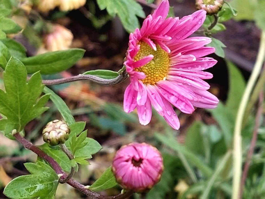 20251015_153450.jpg