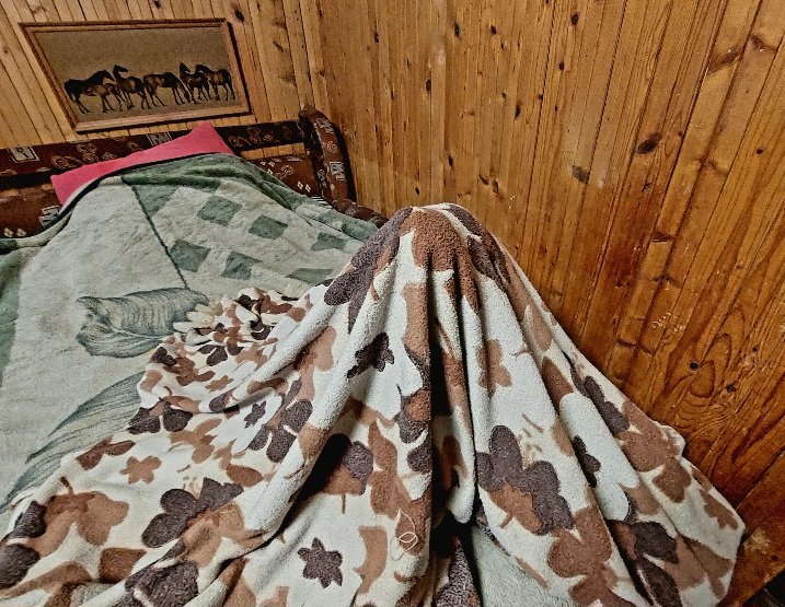 20251016_022652.jpg