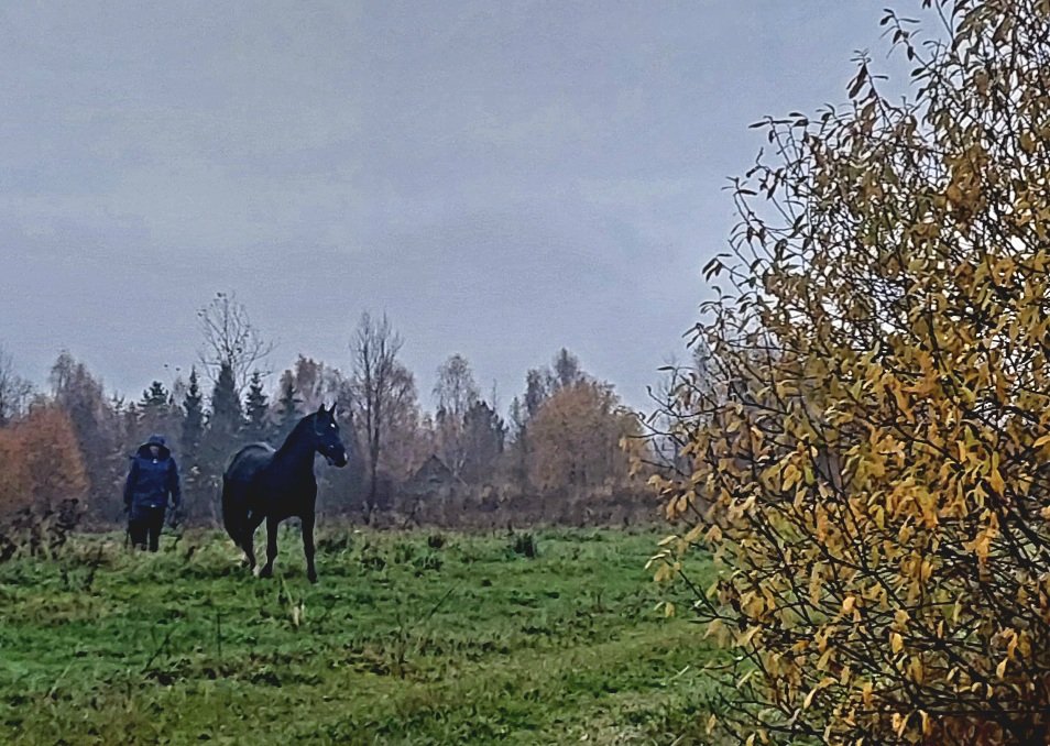 20251017_163402.jpg