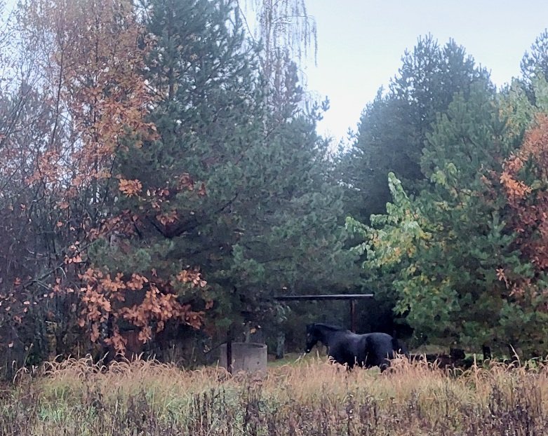 20251017_163947.jpg