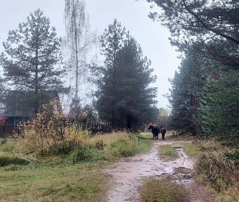 20251017_165351.jpg