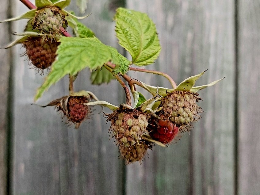 20251018_144004.jpg