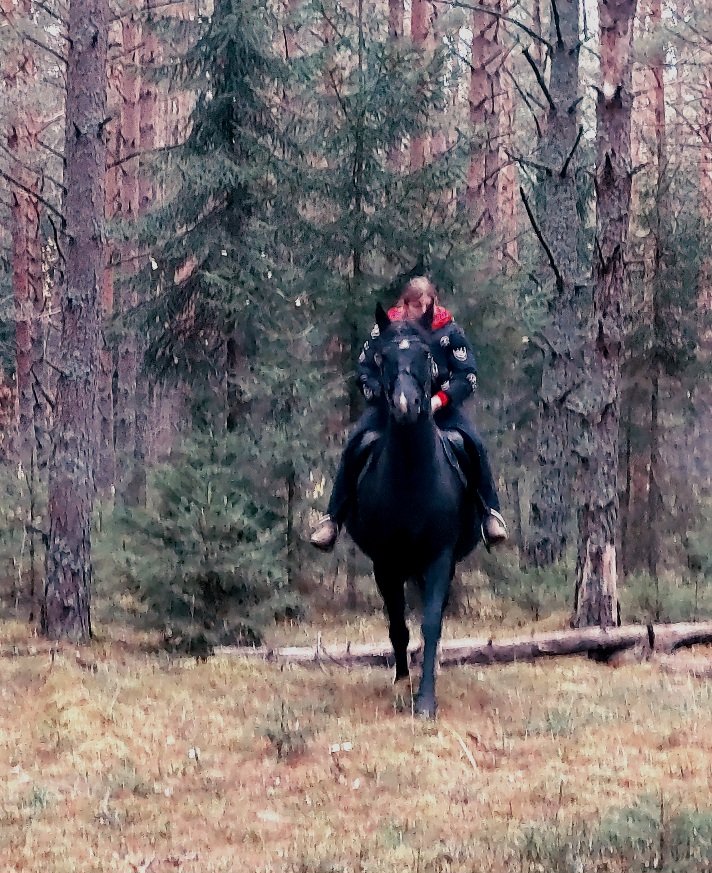 20251020_162730.jpg