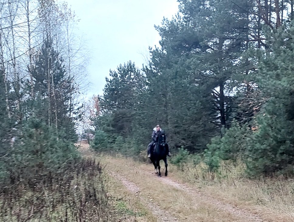 20251022_165308.jpg