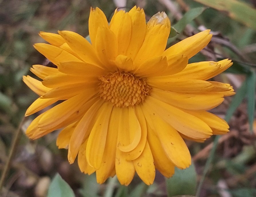 20251023_154545.jpg