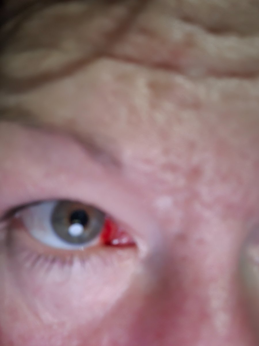 20251212_015610.jpg