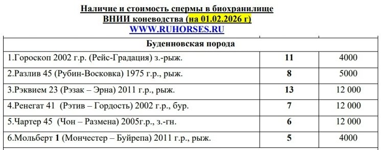 2026 ВНИИК Спермобанк (буденновская порода).jpg