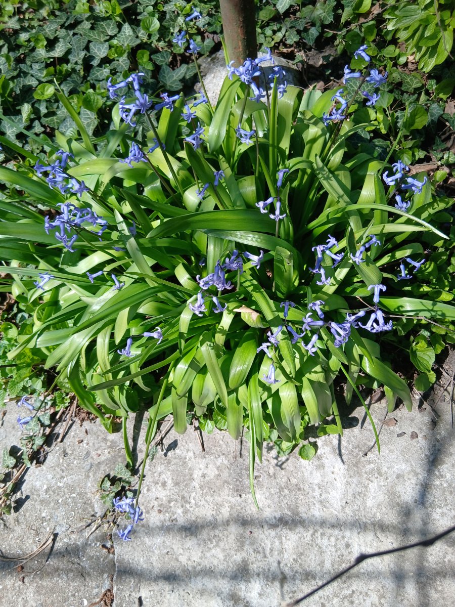 20260417_125135.jpg