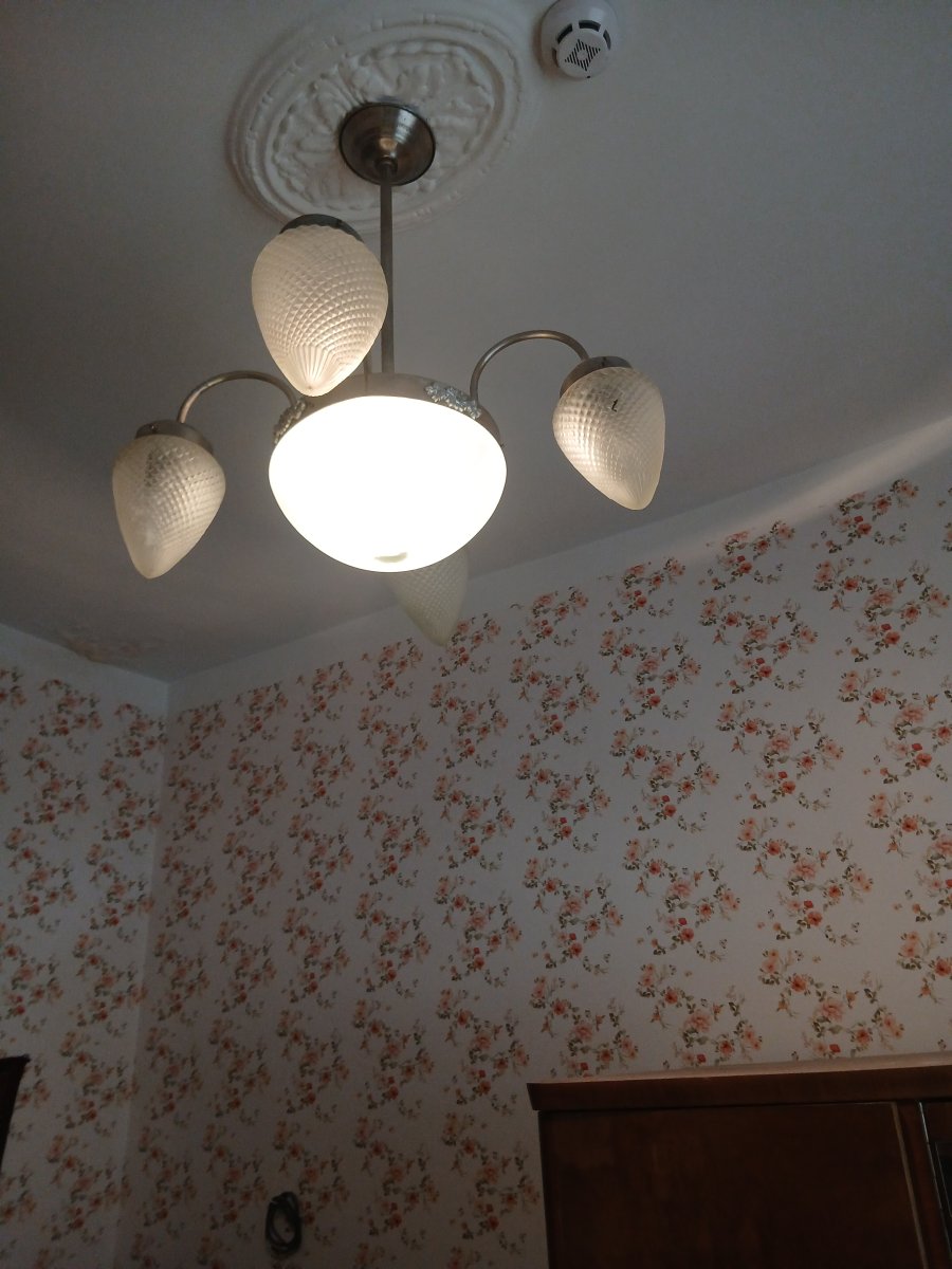 20260418_130343.jpg