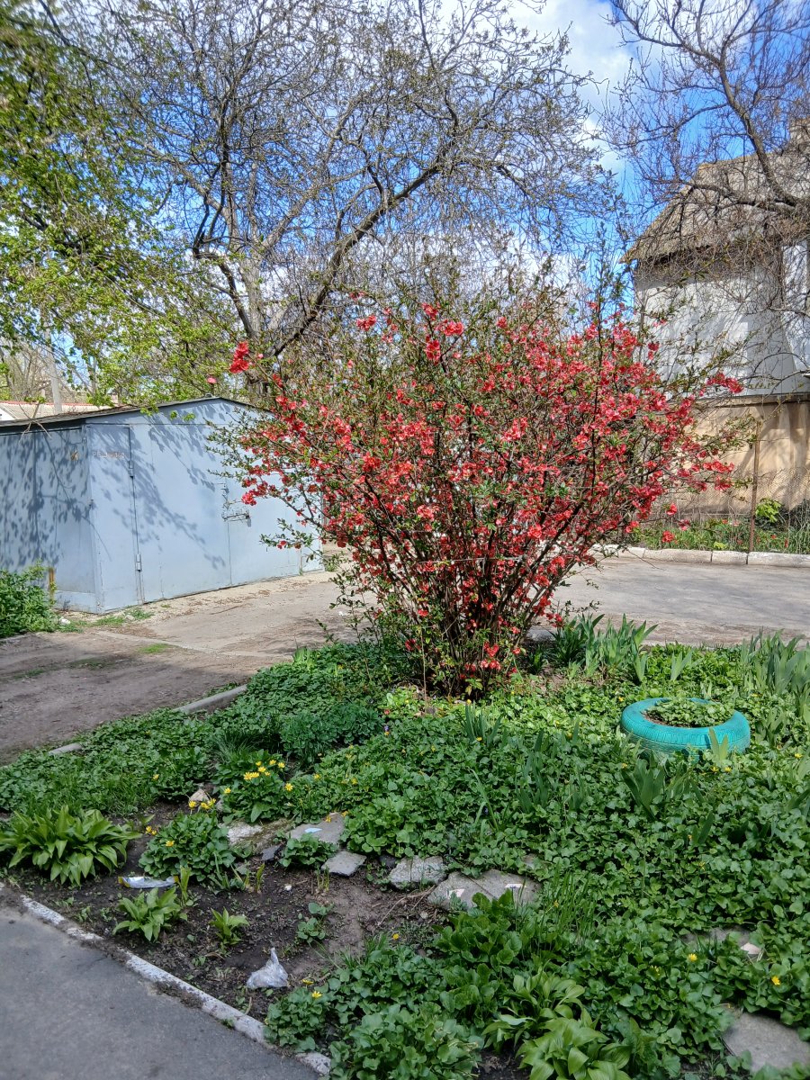 20260419_153813.jpg