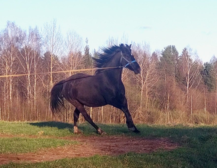 20260424_190213.jpg
