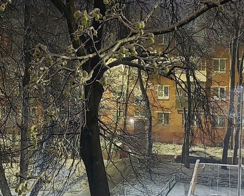 20260427_042046.jpg