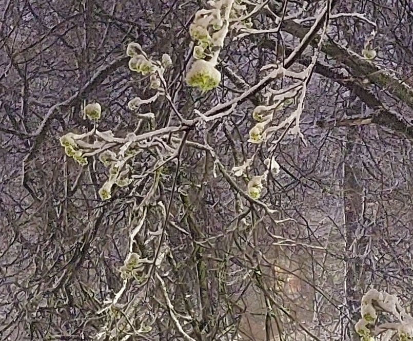 20260427_042109.jpg