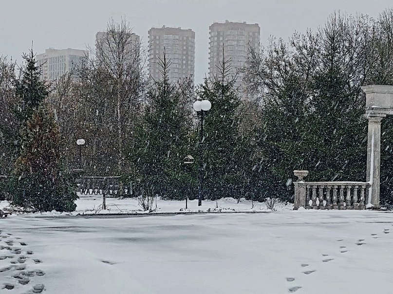 20260427_180401.jpg